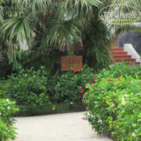 фото из отзыва ID 174790