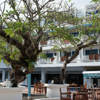 фото из отзыва ID 1740058