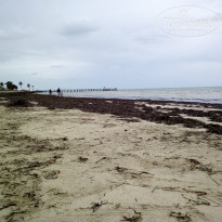 фото из отзыва ID 1740103