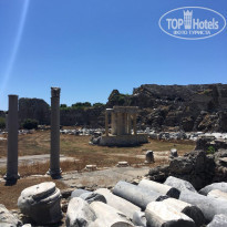 фото из отзыва ID 1740113