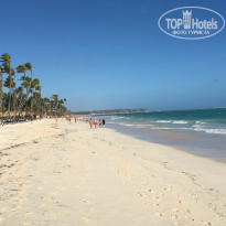 фото из отзыва ID 1740225