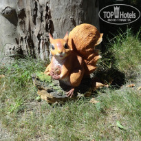 фото из отзыва ID 1740392