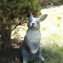 фото из отзыва ID 1740392