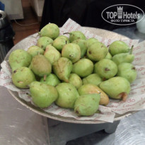 фото из отзыва ID 1740484