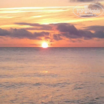 фото из отзыва ID 1740554