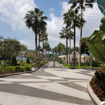 фото из отзыва ID 1740606