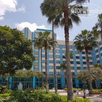 фото из отзыва ID 1740606