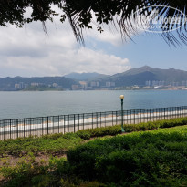 фото из отзыва ID 1740606