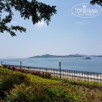 фото из отзыва ID 1740606