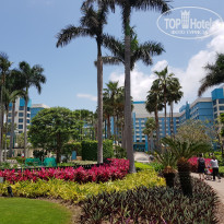 фото из отзыва ID 1740606