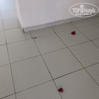 фото из отзыва ID 1740628