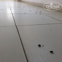 фото из отзыва ID 1740628