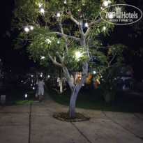 фото из отзыва ID 1740677