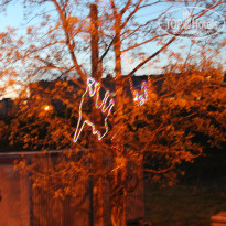 фото из отзыва ID 1740851