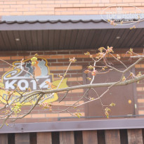 фото из отзыва ID 1740851