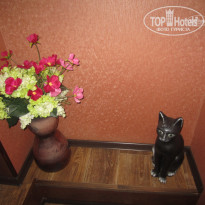 фото из отзыва ID 1740851