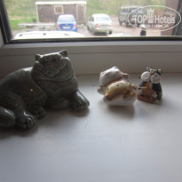 фото из отзыва ID 1740851