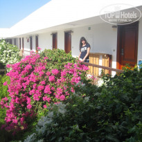 фото из отзыва ID 1740893