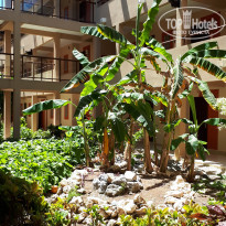 фото из отзыва ID 1741066