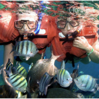 фото из отзыва ID 1741066