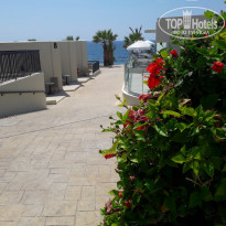 фото из отзыва ID 1741178