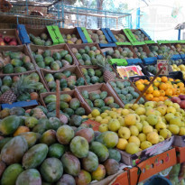 фото из отзыва ID 1741231