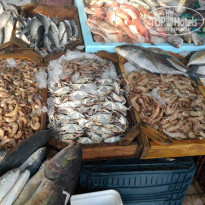 фото из отзыва ID 1741231