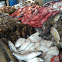 фото из отзыва ID 1741231