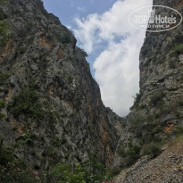 фото из отзыва ID 1741252