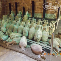 фото из отзыва ID 1741347