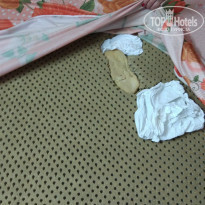 фото из отзыва ID 1741613