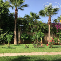 фото из отзыва ID 1741783