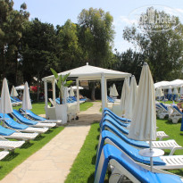 фото из отзыва ID 1742014