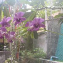 фото из отзыва ID 1742148