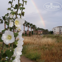 фото из отзыва ID 1742235