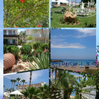 фото из отзыва ID 1742282