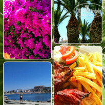 фото из отзыва ID 1742282