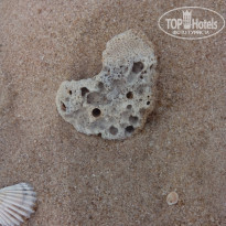 фото из отзыва ID 1742364