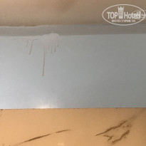 фото из отзыва ID 1742370