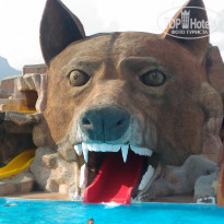 фото из отзыва ID 1742410