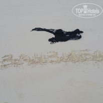 фото из отзыва ID 1742417