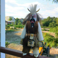 фото из отзыва ID 1742476