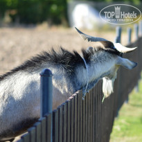 фото из отзыва ID 1742673