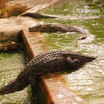 фото из отзыва ID 1742914