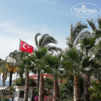 фото из отзыва ID 1742942