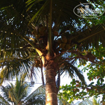 фото из отзыва ID 1742962