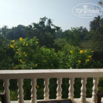 фото из отзыва ID 1742962