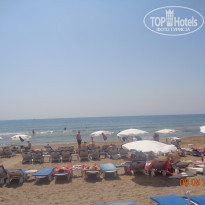 фото из отзыва ID 1740957