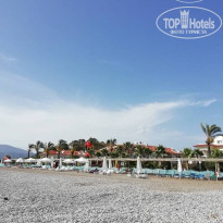 фото из отзыва ID 1742942