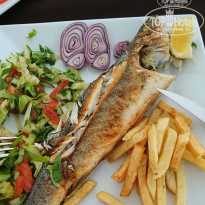 фото из отзыва ID 1742942